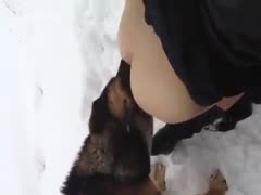Dog sucking arse outside